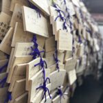 【大学入試】2026年度、合格の桜も満開です！！